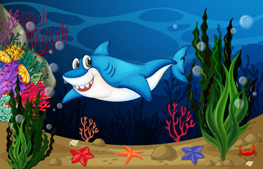 Naklejka premium Shark