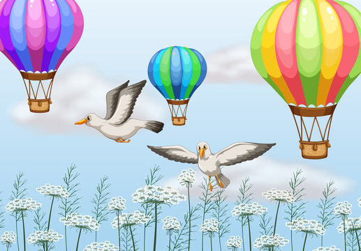 Birds and balloons