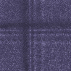 violet  leather background