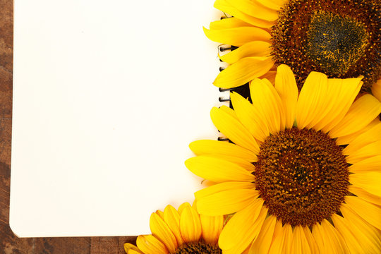 Beautiful sunflowers with notepad on wooden background