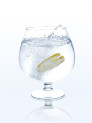the water in the glass