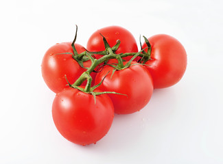 Tomato