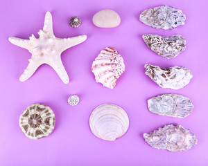Sea souvenirs on purple background