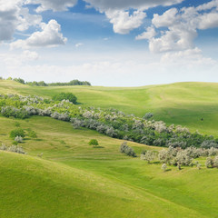 landscape with hilly field and blue sky