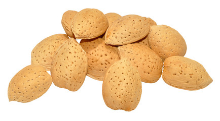 Almond Nuts