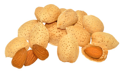 Almond Nuts