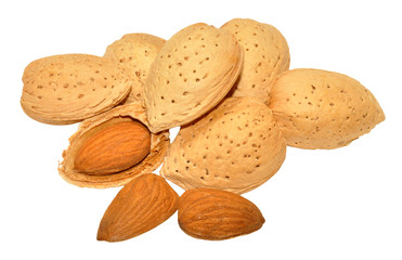 Almond Nuts