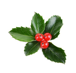 Leaves of mistletoe with berries isolated on white © Africa Studio