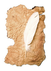 old paper and feather