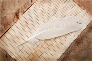 old paper with a feather