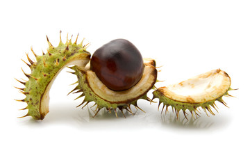 chestnuts