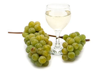 vine