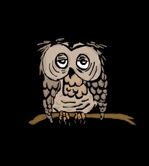 Owl on branch