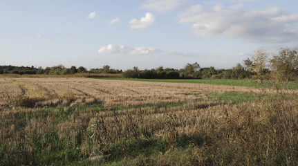 Landscape with stubble of wheat field and sky