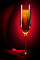 luxury glass of champagne