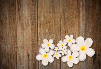Papier Peint photo autocollant Frangipanier White plumeria flower on wood background