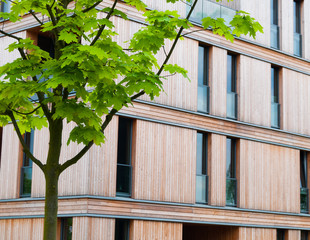 Sustainable architecture
