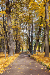 Mikhailovsky garden. Saint-Petersburg. Russia