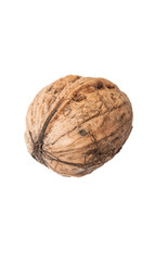 Closeup of one walnut on white background.