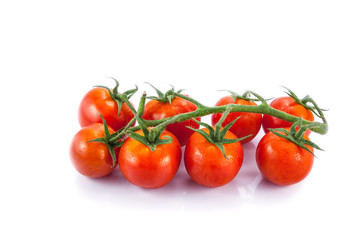 Tomato