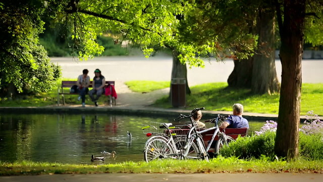 People relaxing near pond