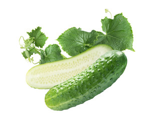 Vertical cut cucumber and leaves isolated