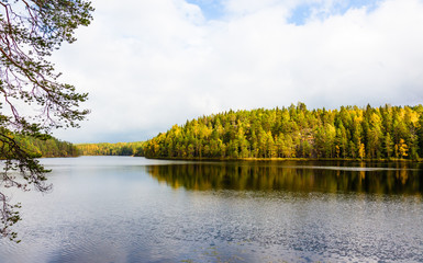 Fototapeta na wymiar Autumn forest near lake