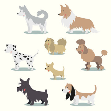 Dogs vector illustration set collection