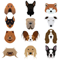 Set and type of many Dog Vectors and Icons