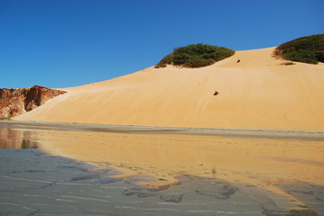 Fototapeta na wymiar descente de la dune en buggy