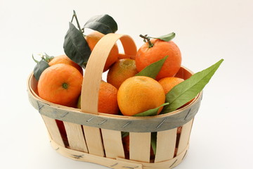 Panier de mandarines