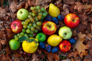 Autumn fruits