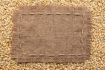 Frame of burlap  lying on a barley  background