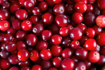 Red fresh cranberries background