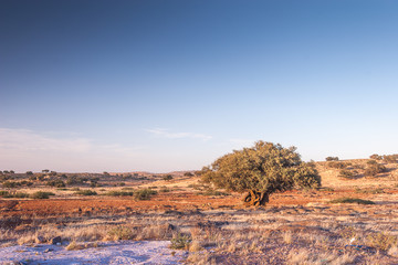 Landscape of Morocco