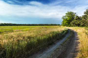 Fototapeta na wymiar The rural dirt road, beautiful countryside on a sunny day