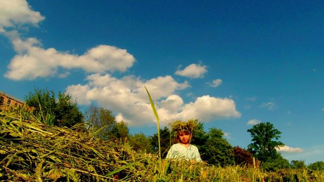ittle girl weaves a wreath of grass on the field