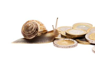 Snail on coins isolated on white