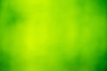 Sunny abstract green nature background, selective focus