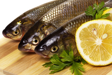 Fish on wooden background
