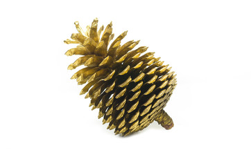 golden pine cone