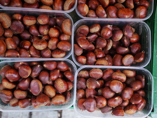 chestnuts