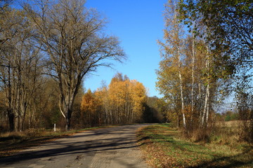 Fototapeta premium Autumn