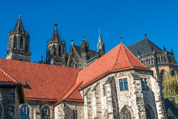 Fototapeta premium Cathedral of Magdeburg at Autumn, Germany