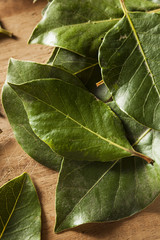 Green Organic Bay Leaves