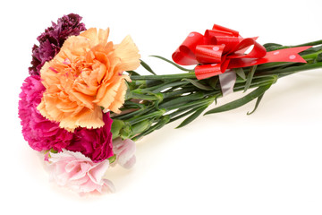 カーネーション