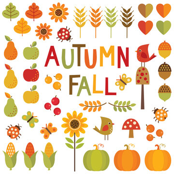 set of autumn and fall design elements