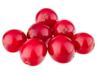 cranberry  isolated on white background cutout