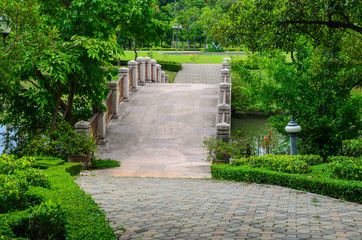 Beautiful bridge in the park