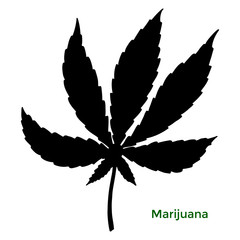 Black silhouette isolated marijuana leaf.